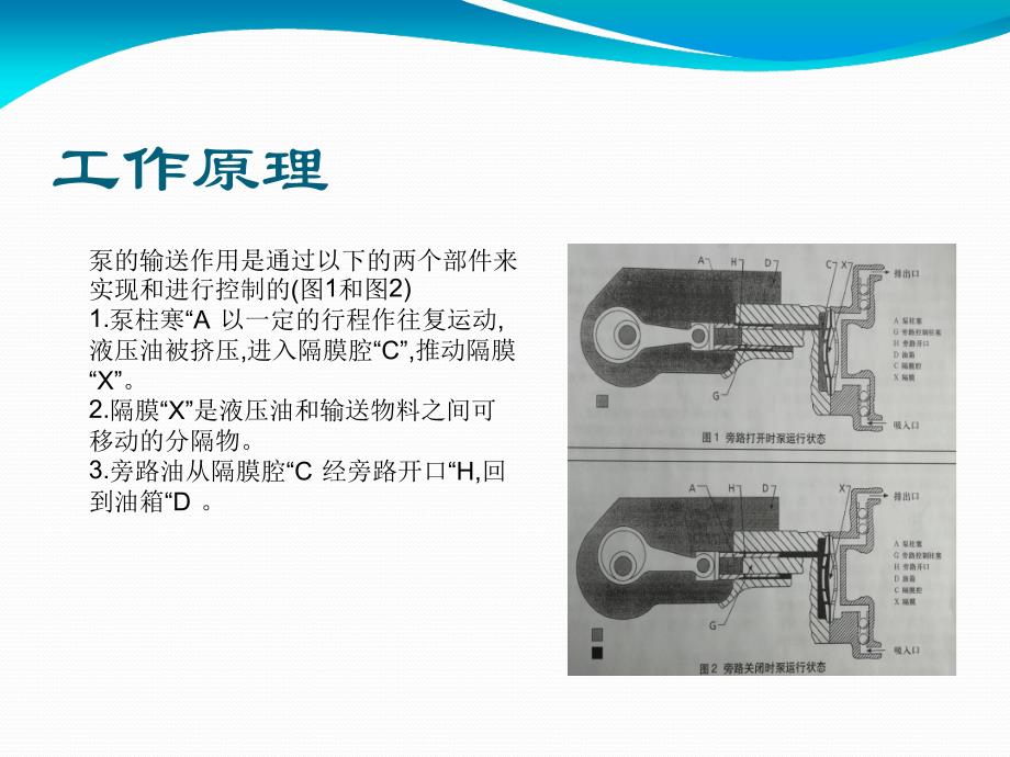 米顿罗计量泵工作原理及检修ppt课件_第4页