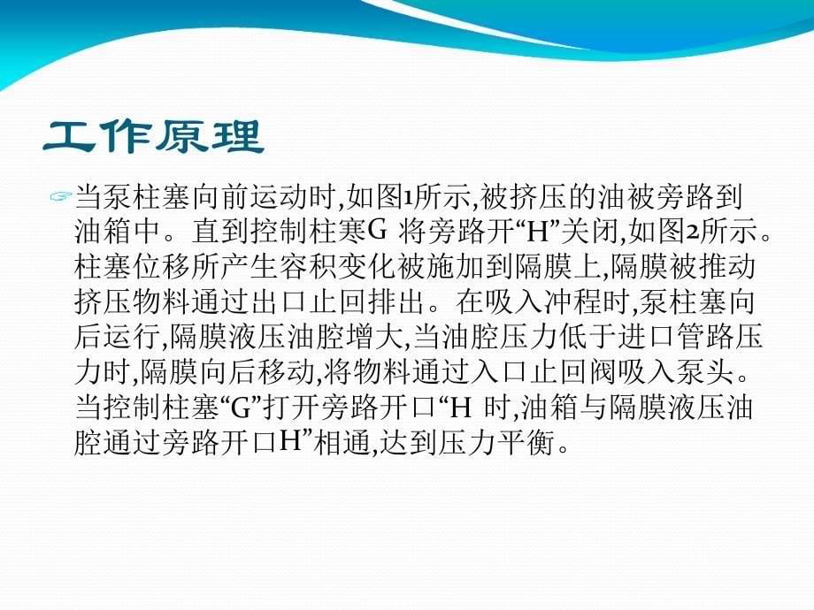 米顿罗计量泵工作原理及检修ppt课件_第5页