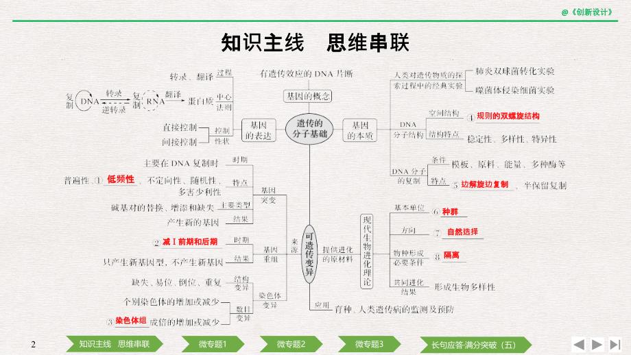 2020版创新设计二轮专题生物复习：专题五 遗传的分子基础、变异与进化_第2页