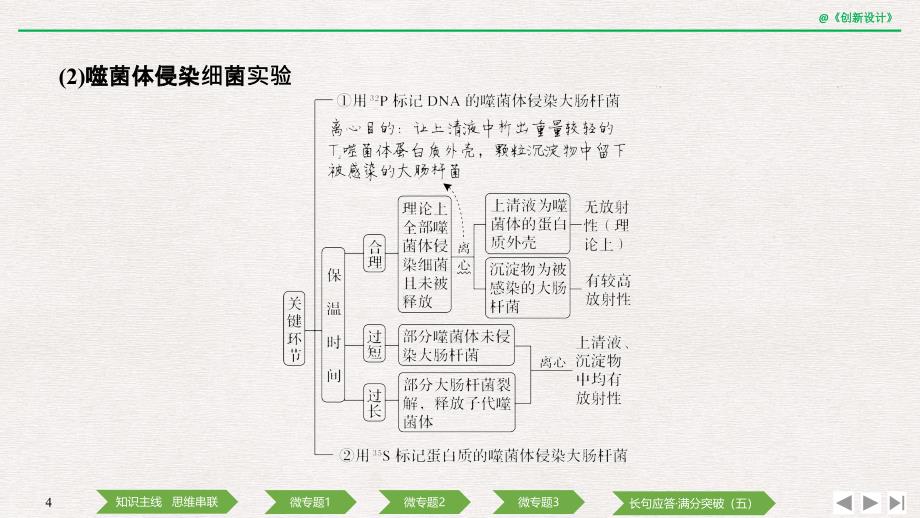 2020版创新设计二轮专题生物复习：专题五 遗传的分子基础、变异与进化_第4页