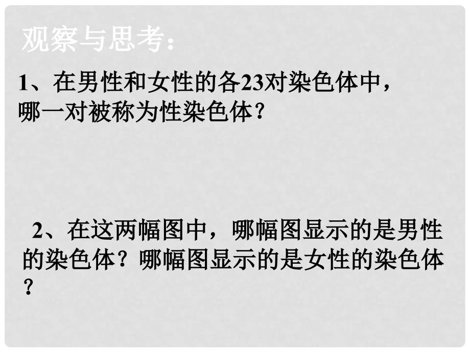 八年级生物下册 7.2.4 人的性别遗传课件 （新版）新人教版_第4页