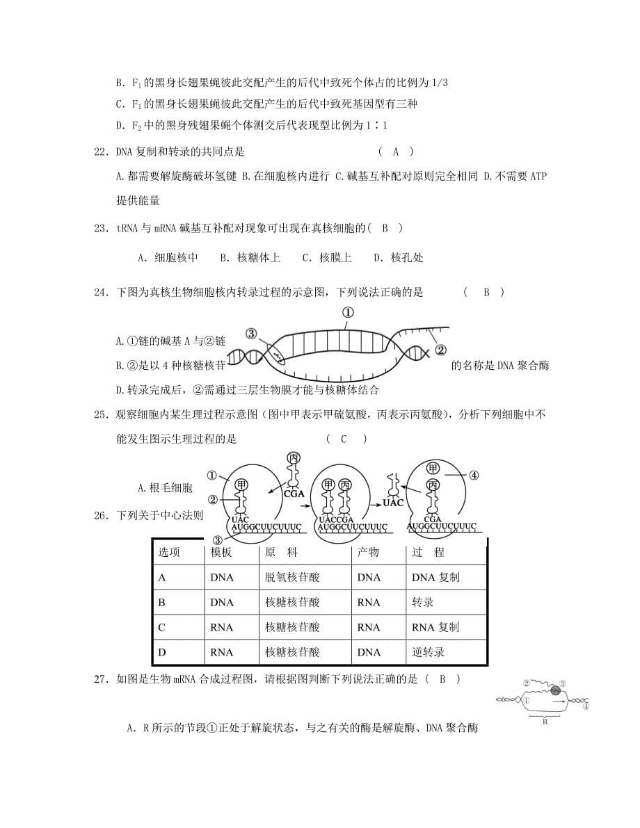 高中生物必修二第四章_第5页