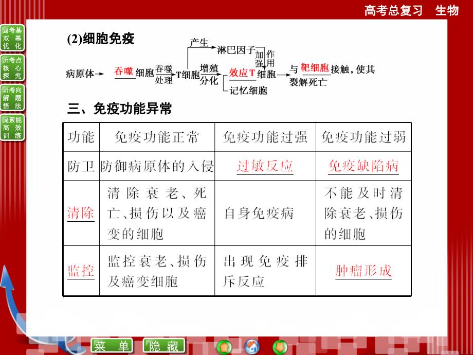 必修三第3讲免疫调节课件_第4页