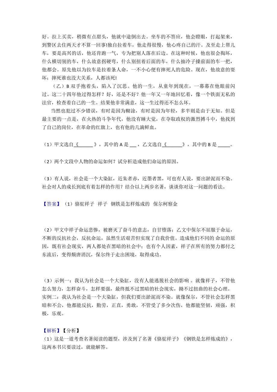 语文文学类文本阅读专题训练专题练习(及答案)含解析.doc_第5页