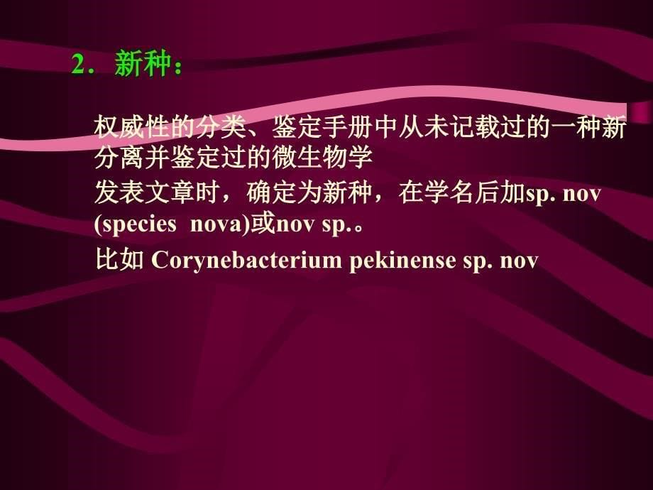 9微生物的分类和鉴定ppt课件_第5页