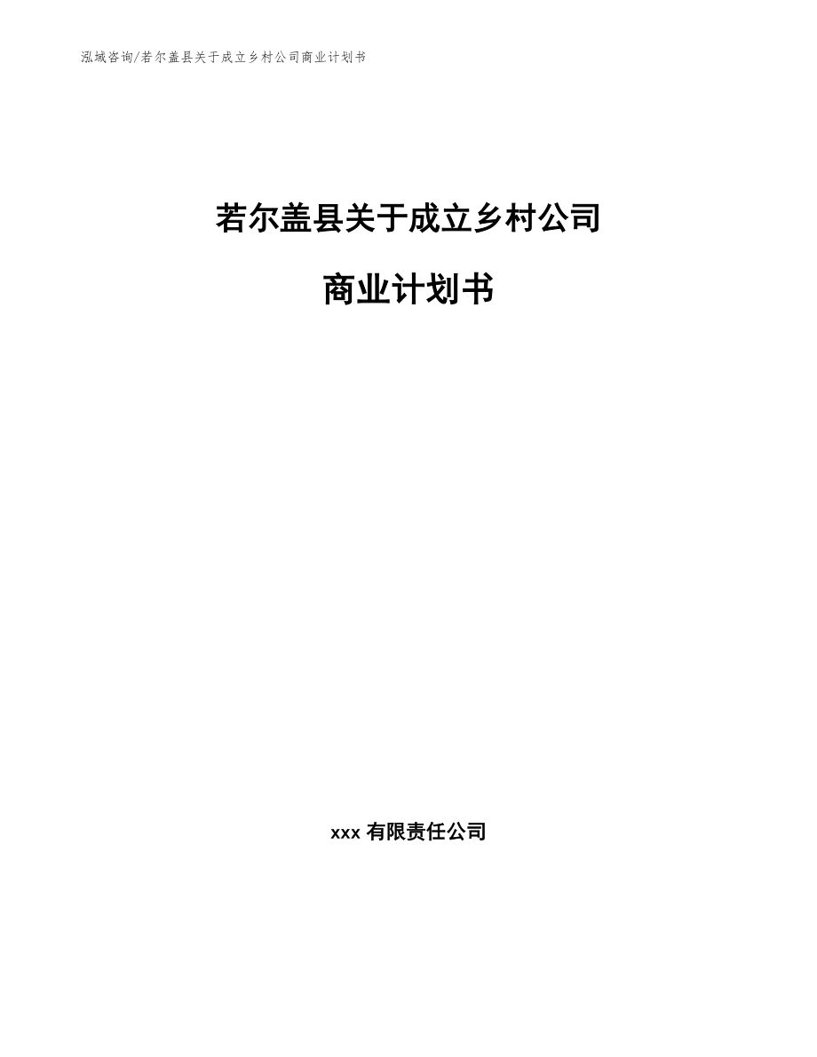 若尔盖县关于成立乡村公司商业计划书模板范文_第1页