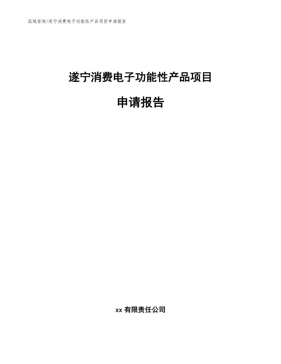 遂宁消费电子功能性产品项目申请报告范文模板_第1页