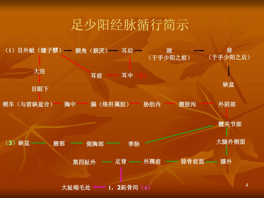 足少阴胆经ppt课件_第4页