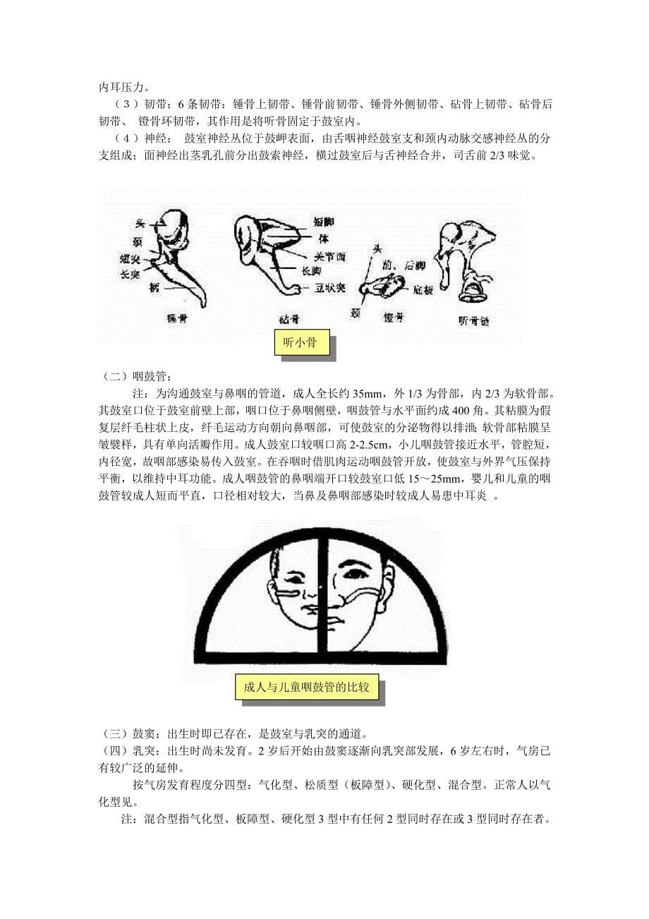 第六篇 第一章 耳的应用解剖学及生理学.doc_第5页