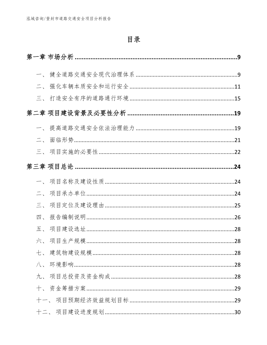 登封市道路交通安全项目分析报告（范文模板）_第2页