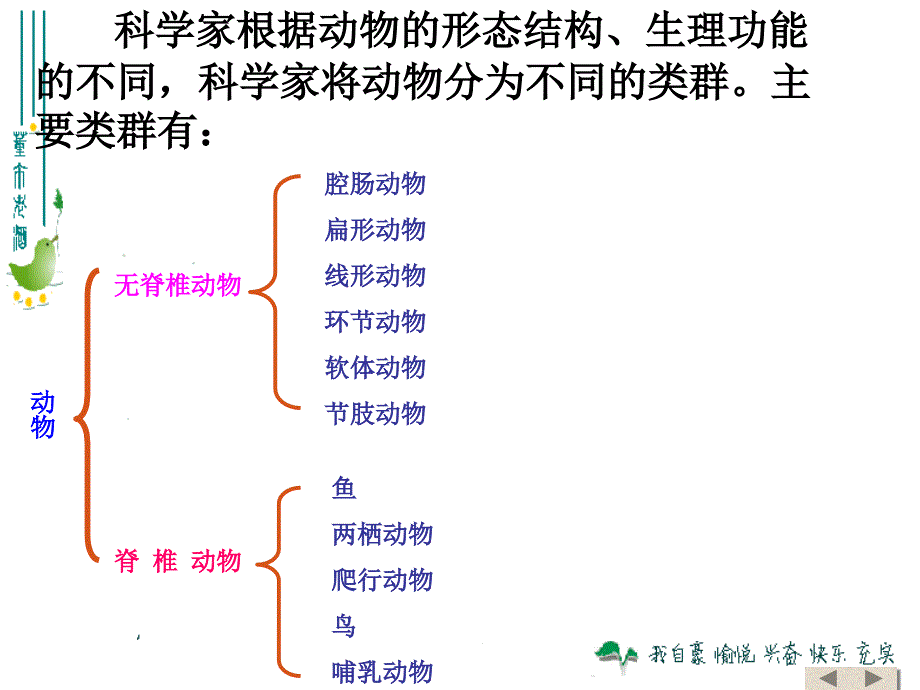 腔肠动物和扁形动物课件ppt_第3页