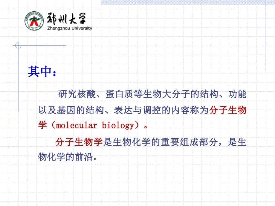 生物化学：第一章 绪论_第5页