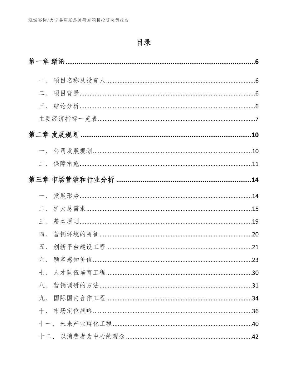 大宁县碳基芯片研发项目投资决策报告模板范本_第1页