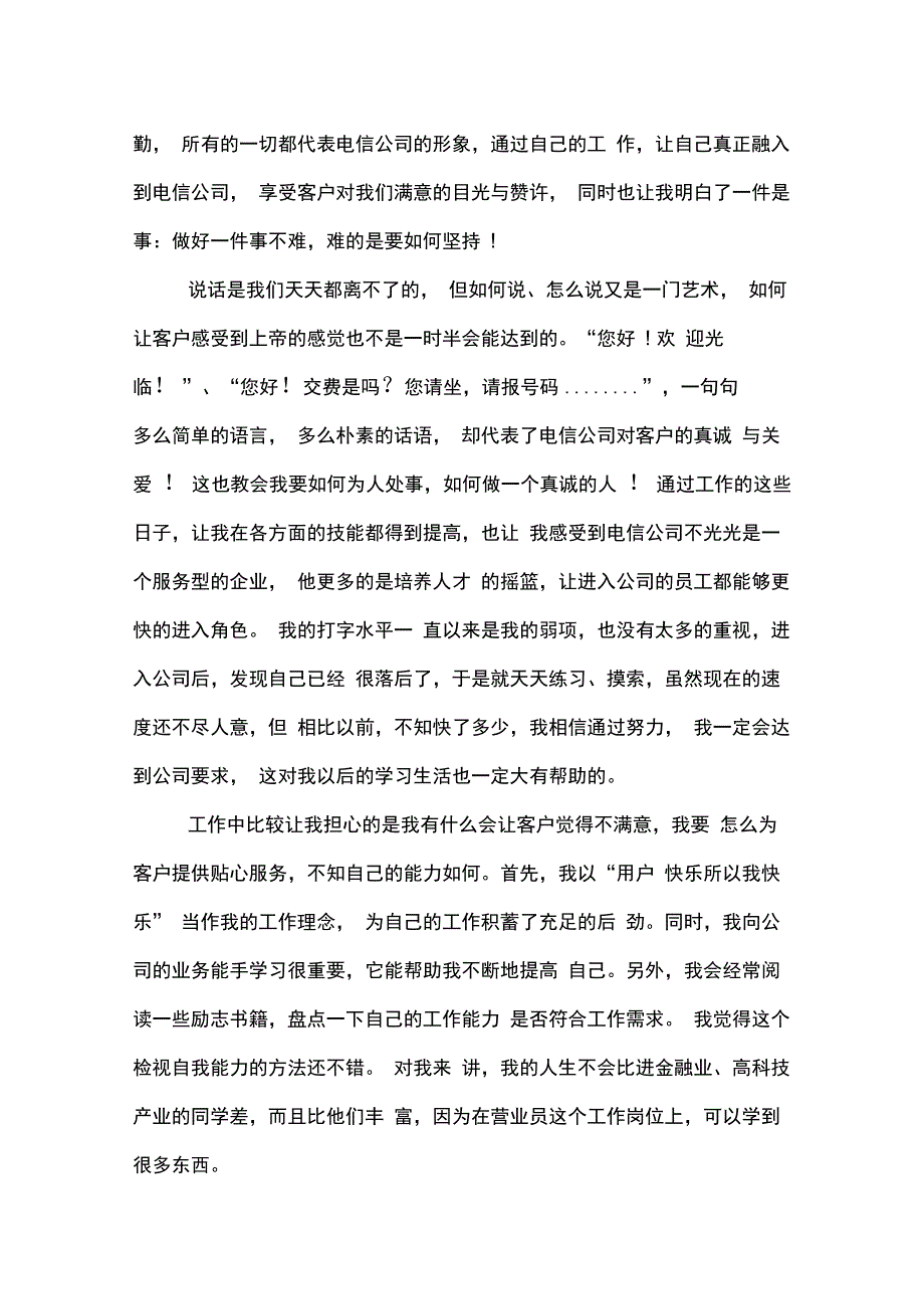 中国电信述职报告_第3页