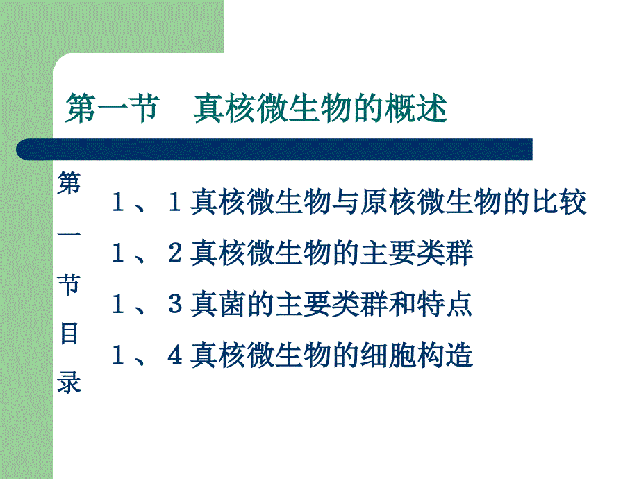 真核微生物已修改课件_第2页