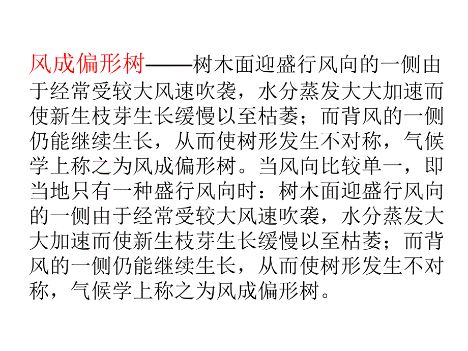 苏教版语文六年级上册《练习五》_第4页