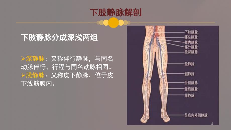 深静脉血栓形成的预防及护理PPT课件_第4页