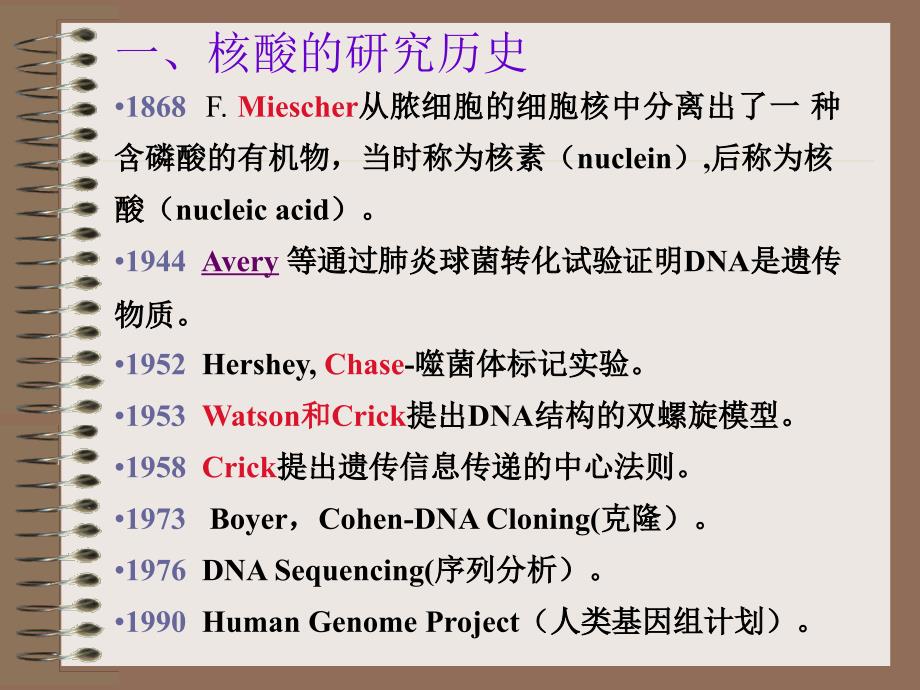 核酸化学生物化学_第4页