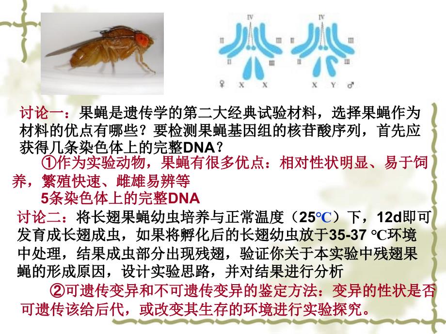 必修二04(实验设计)_第3页