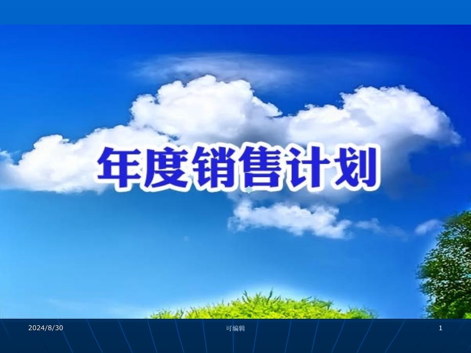年度销售计划书模版课件_第1页