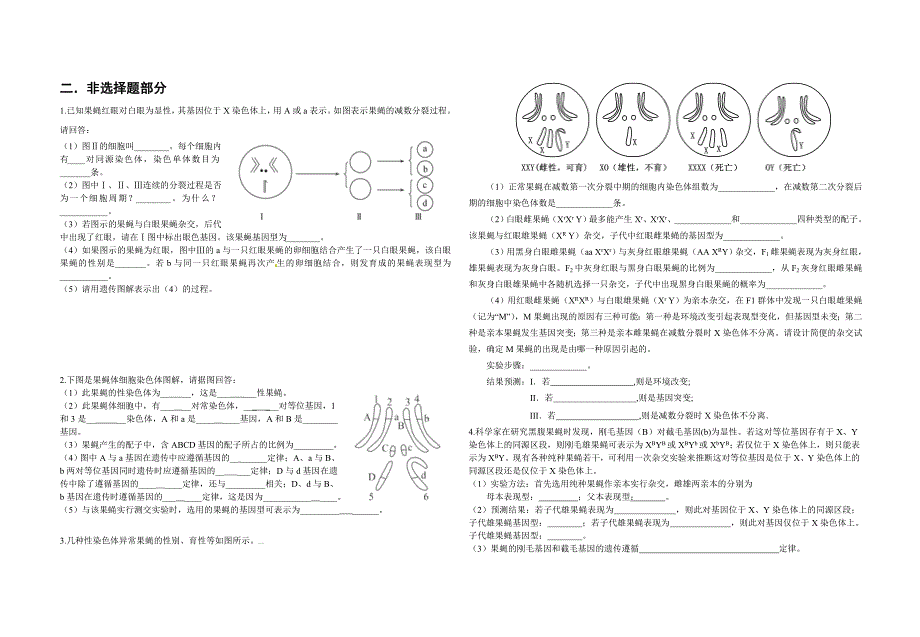 基因在染色体上及伴性遗传练习_第4页