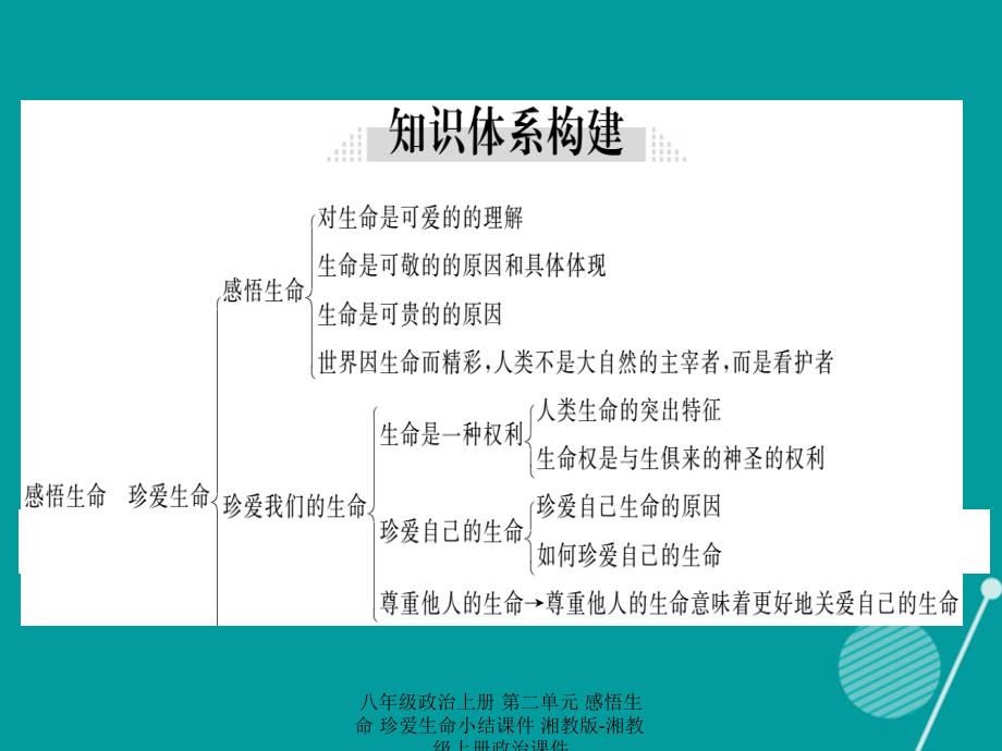 最新八年级政治上册第二单元感悟生命珍爱生命小结课件湘教版湘教级上册政治课件_第2页