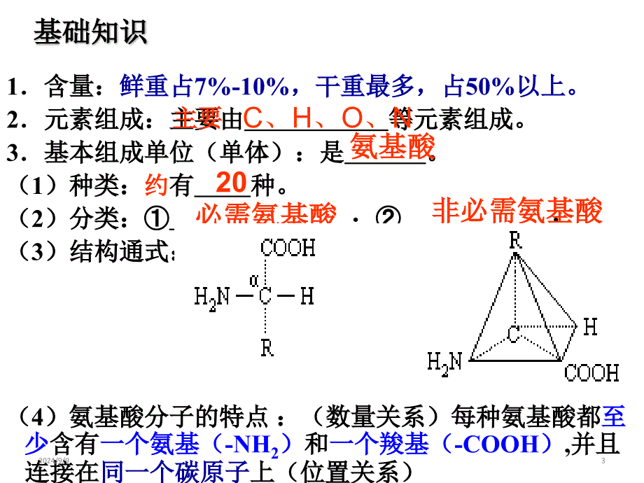 高中生物一轮复习必修一第二章第二节生命活动的主要承担者蛋白质复习(35张)课件_第3页