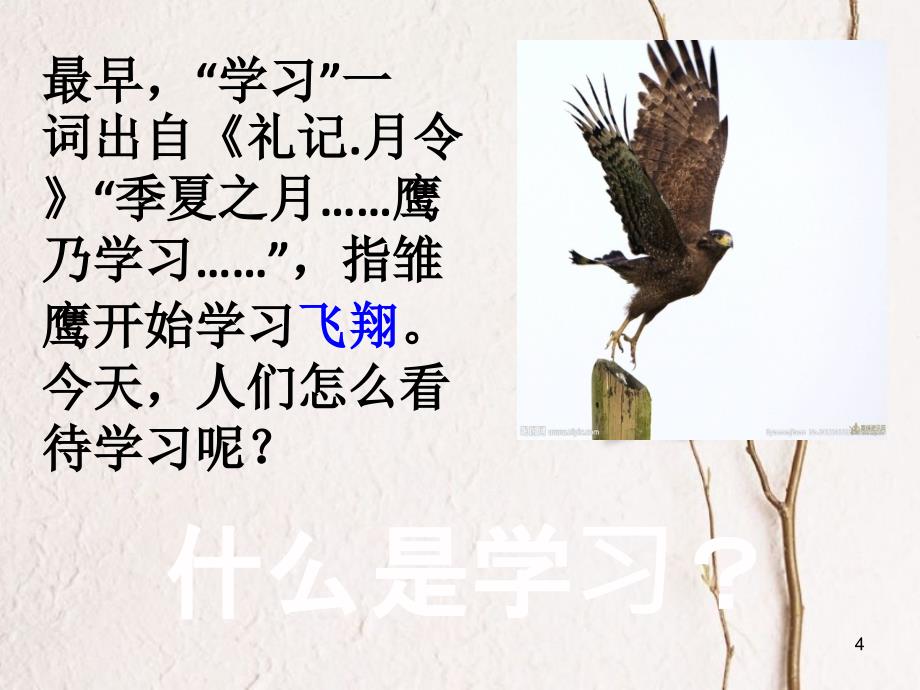 七年级道德与法治上册 第一单元 成长的节拍 第二课 学习新天地 第1框 学习伴成长课件2 新人教版[共13页]_第4页