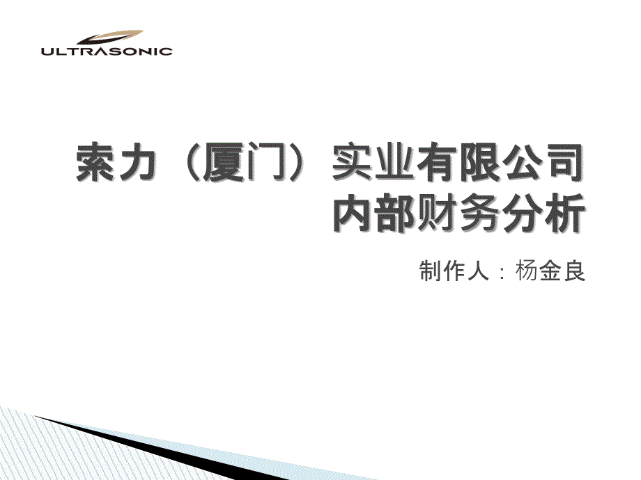 厦门索力财务分析权益净利率课件_第1页