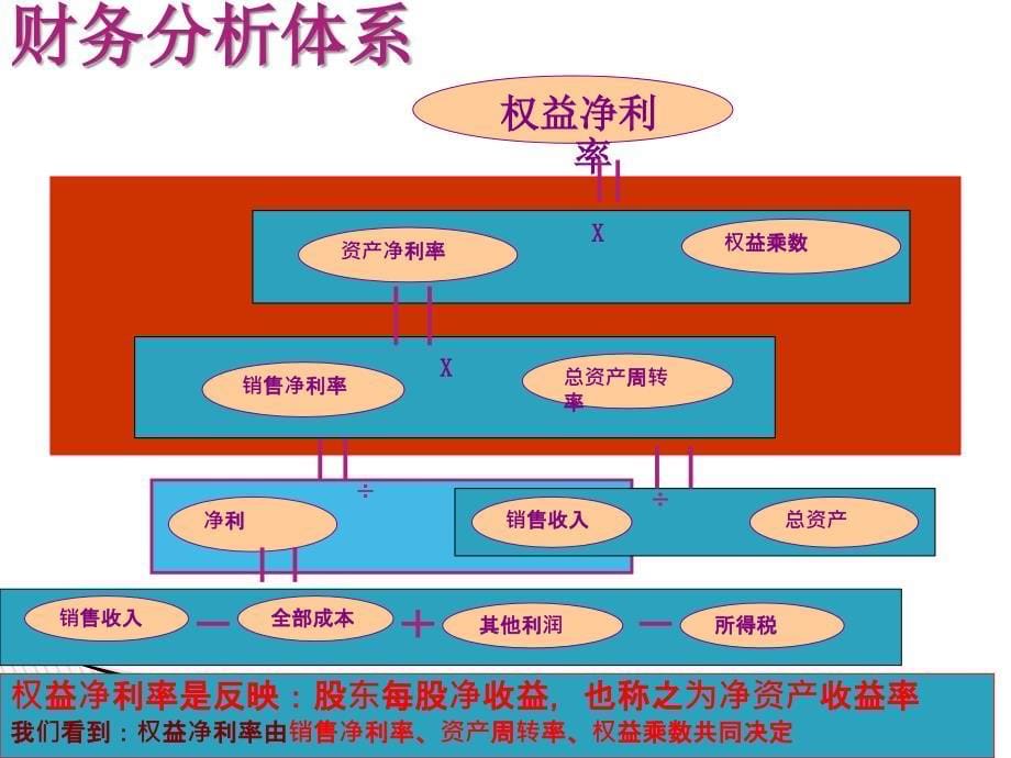 厦门索力财务分析权益净利率课件_第5页