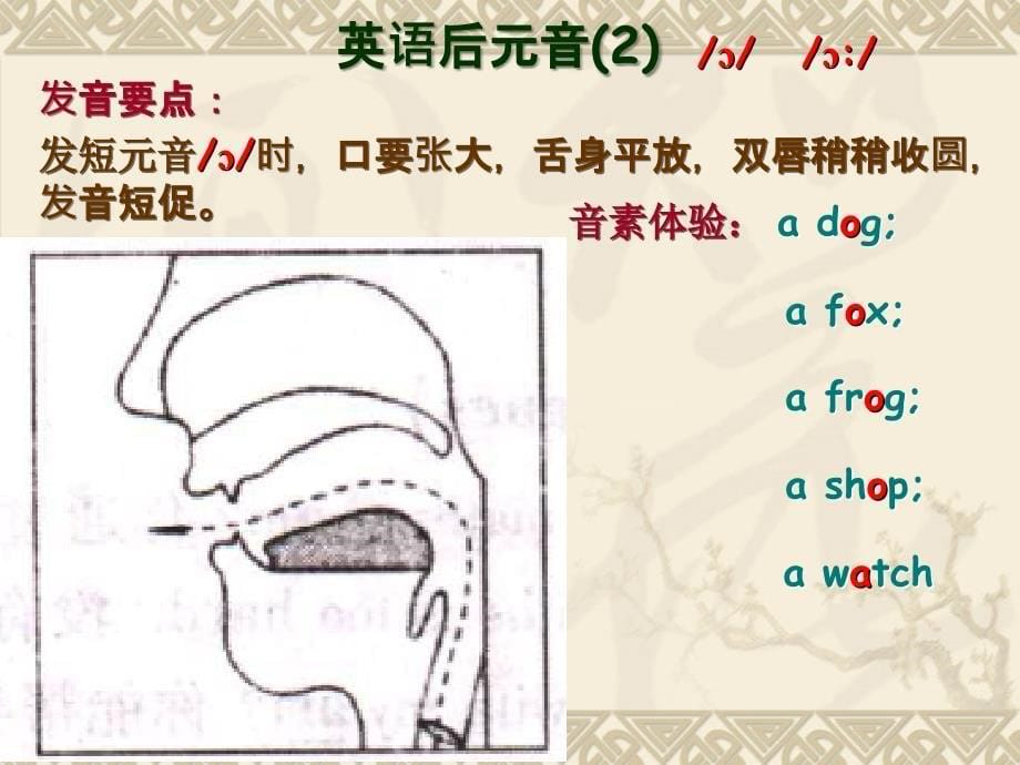 第二单元 英语后元音_第5页