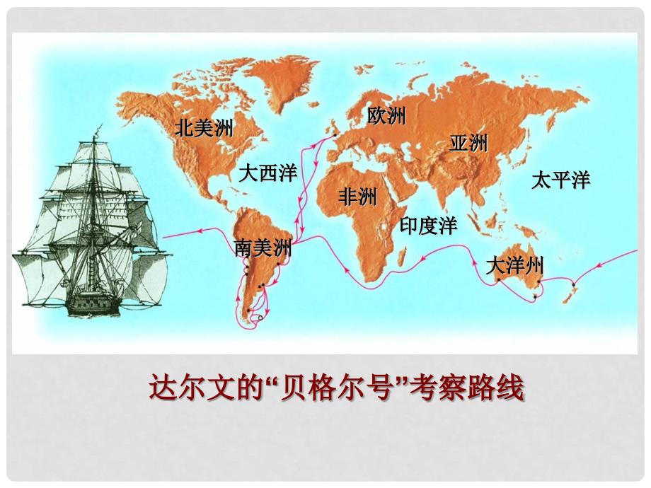 八年级生物上册 第五单元 第十六章 第三节 生物进化的学说课件2 （新版）苏教版_第3页