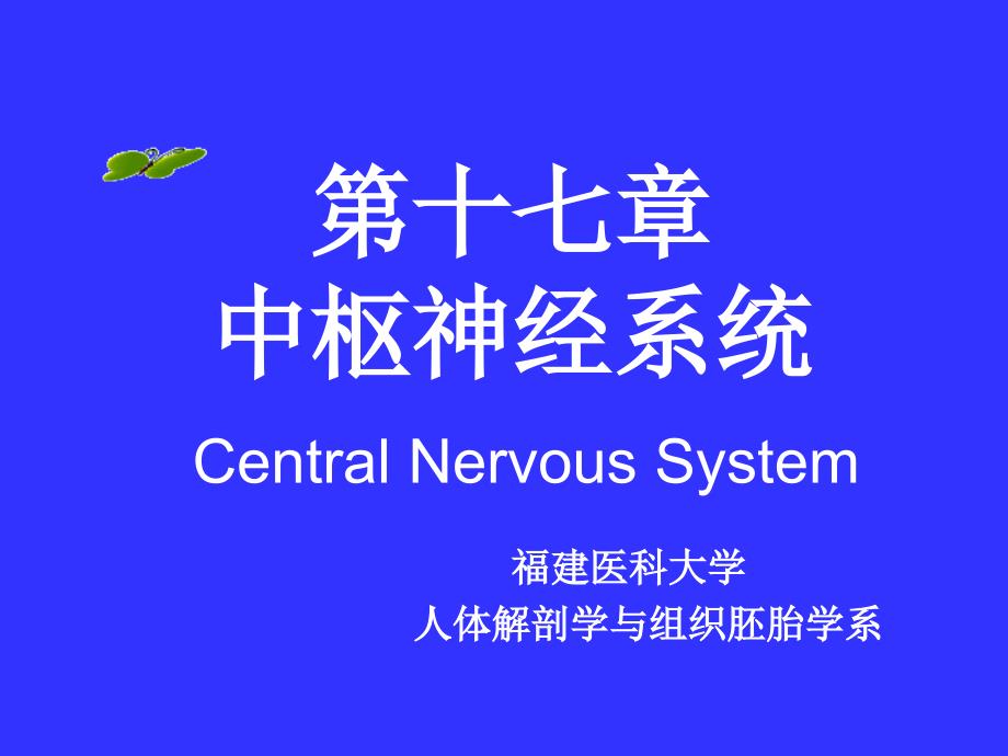 中枢神经系统系统解剖学.ppt_第1页