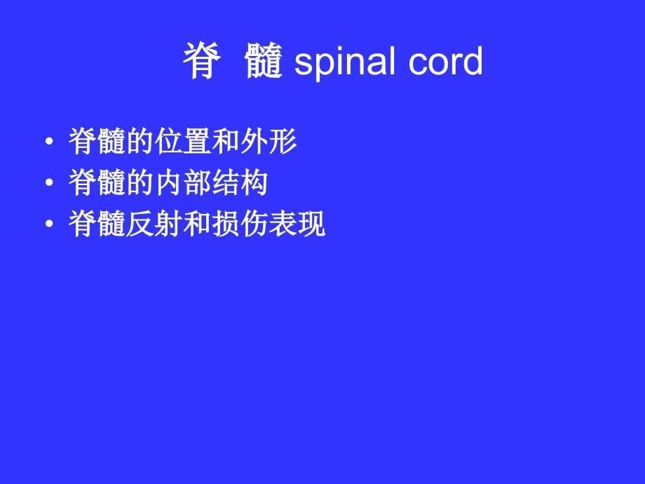 中枢神经系统系统解剖学.ppt_第5页