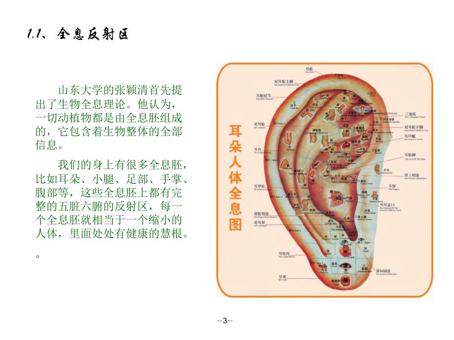 手到病自除足底按摩参考材料_第3页