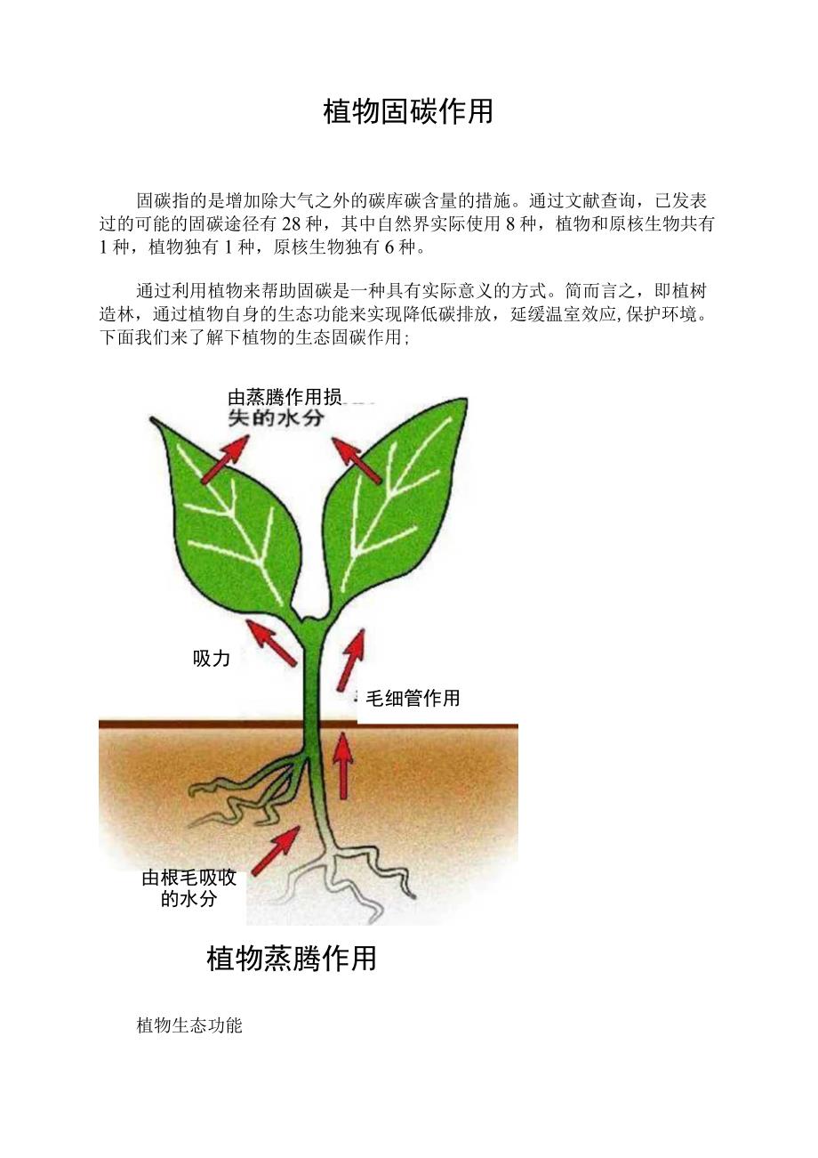 植物固碳作用_第1页