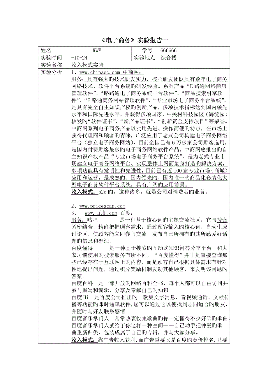 2023年电子商务实验报告样式四_第1页