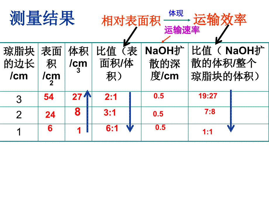 细胞的增殖2016_第3页