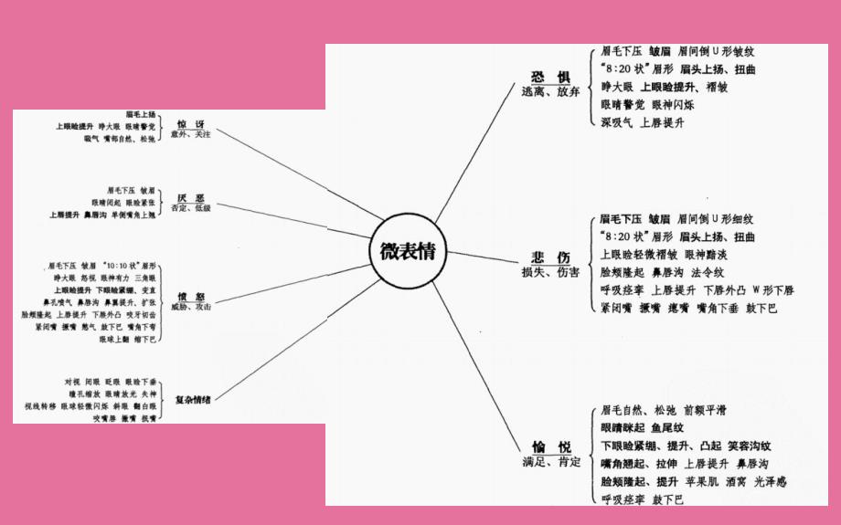 微表情与面部肌肉分析ppt课件_第4页