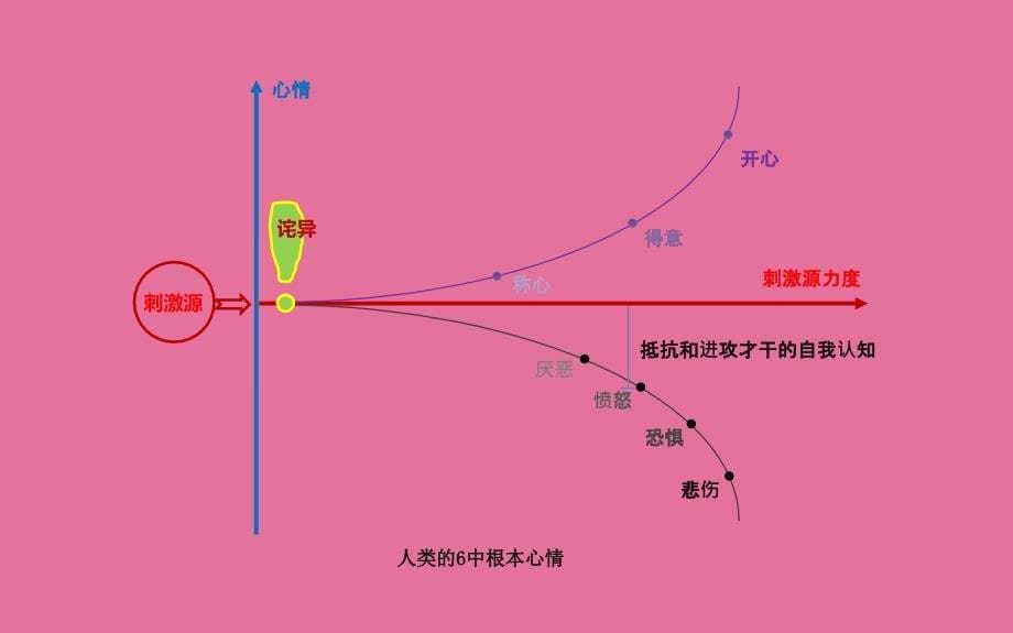 微表情与面部肌肉分析ppt课件_第5页