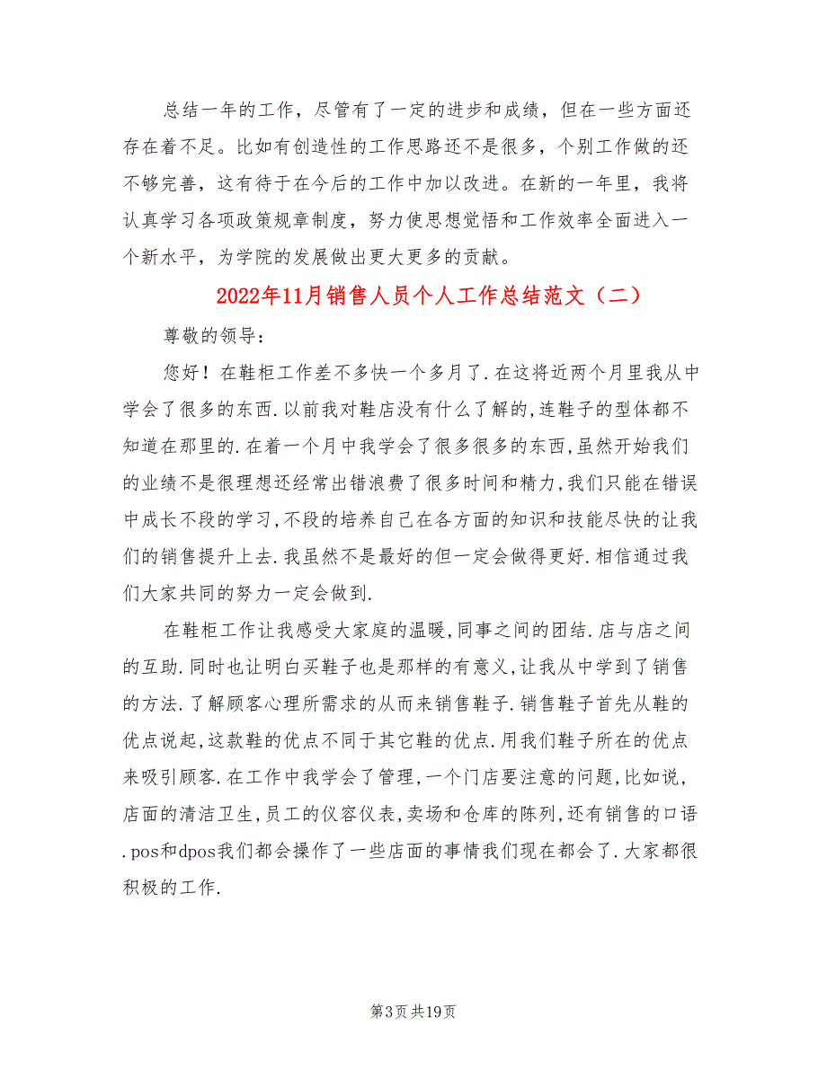 2022年11月销售人员个人工作总结范文(8篇)_第3页