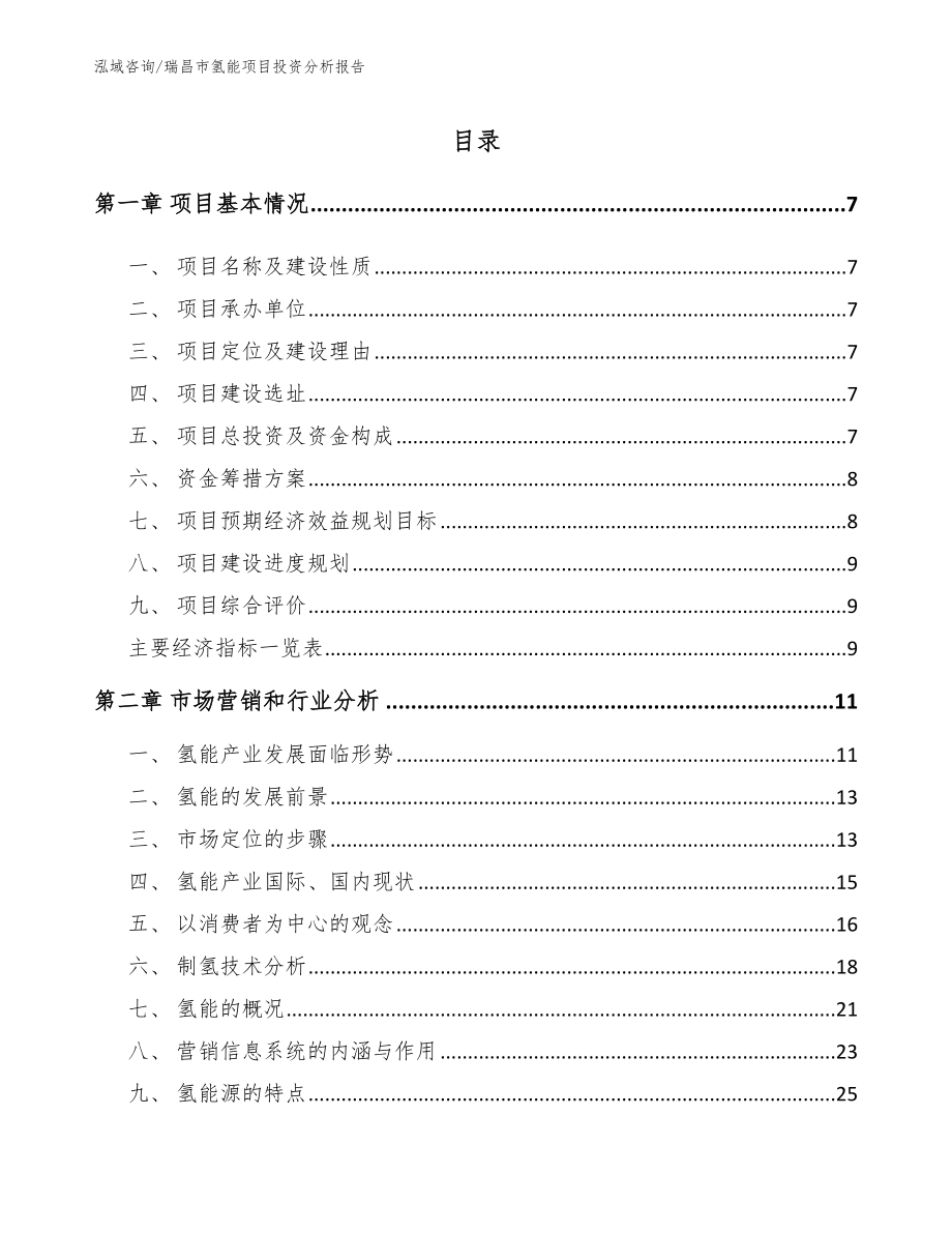 瑞昌市氢能项目投资分析报告_第2页