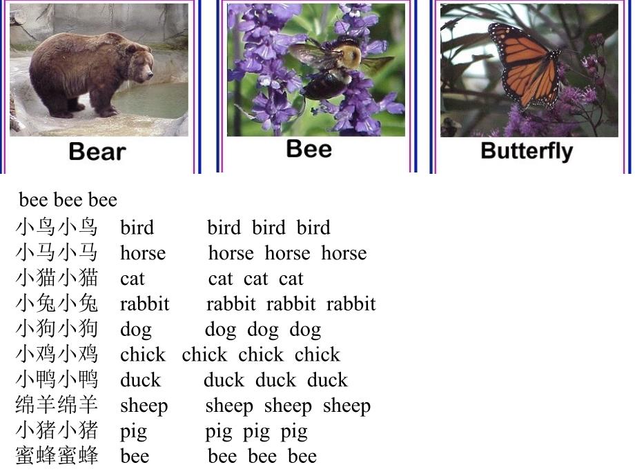 小学英语课件动物_第2页