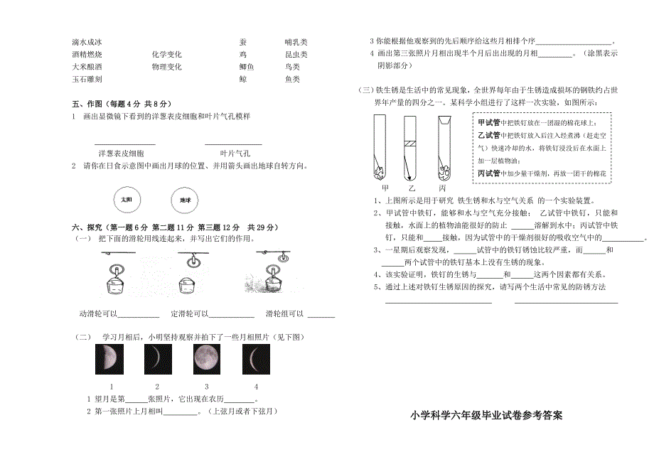 教科版小学科学六年级毕业试卷及答案1_第2页