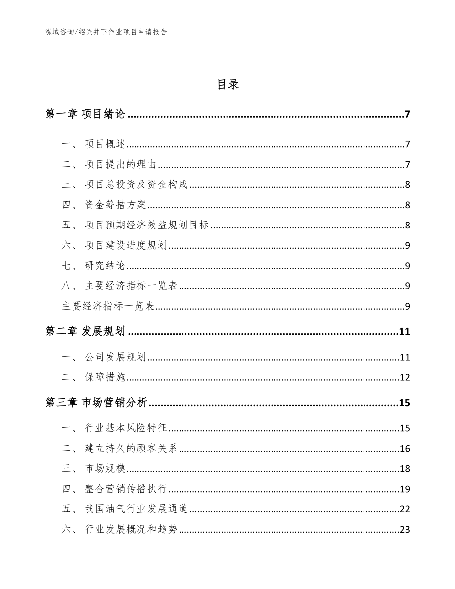 绍兴井下作业项目申请报告【参考模板】_第3页