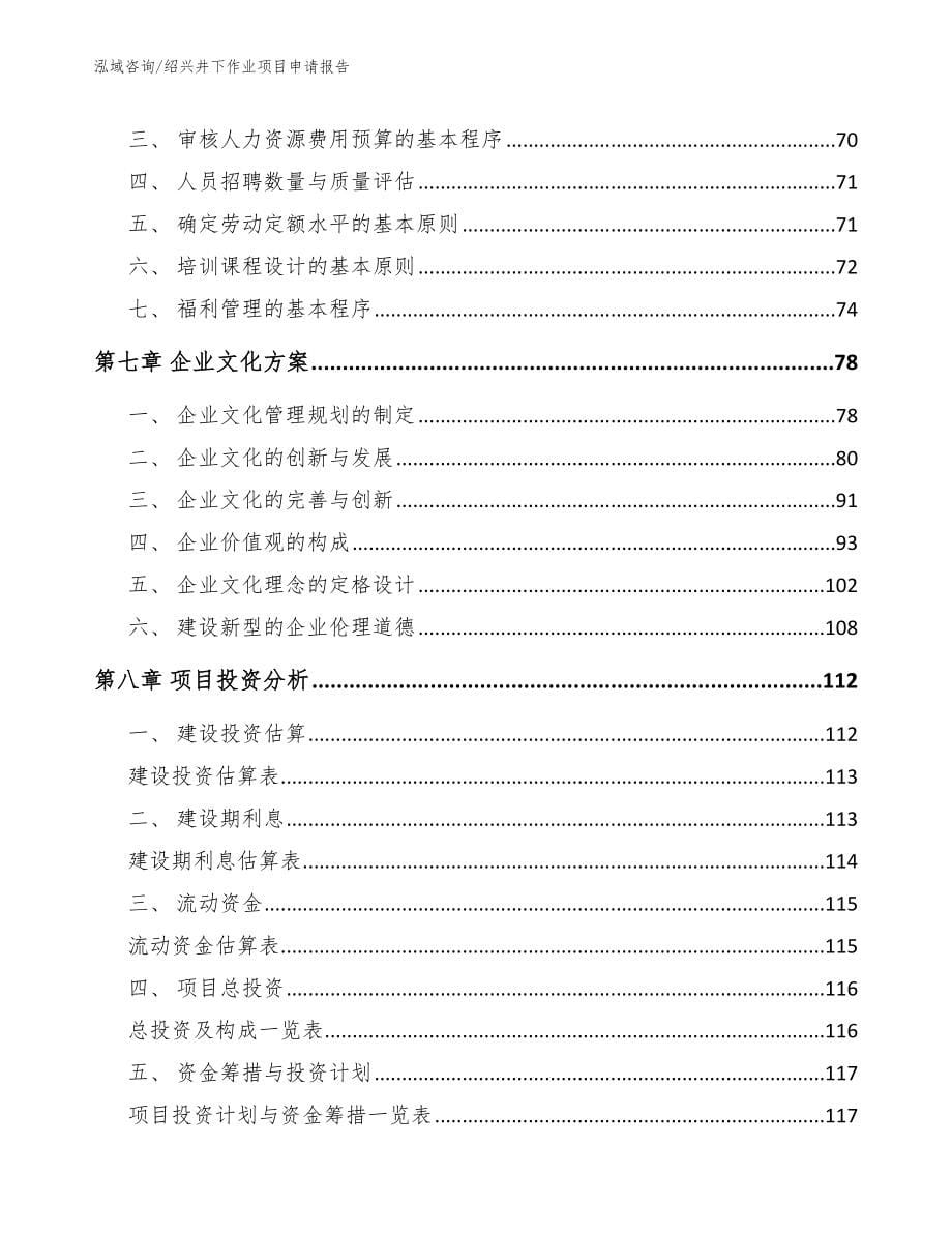 绍兴井下作业项目申请报告【参考模板】_第5页