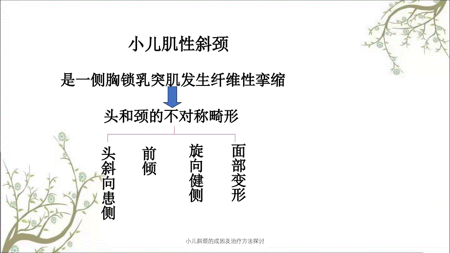 小儿斜颈的成因及治疗方法探讨_第2页