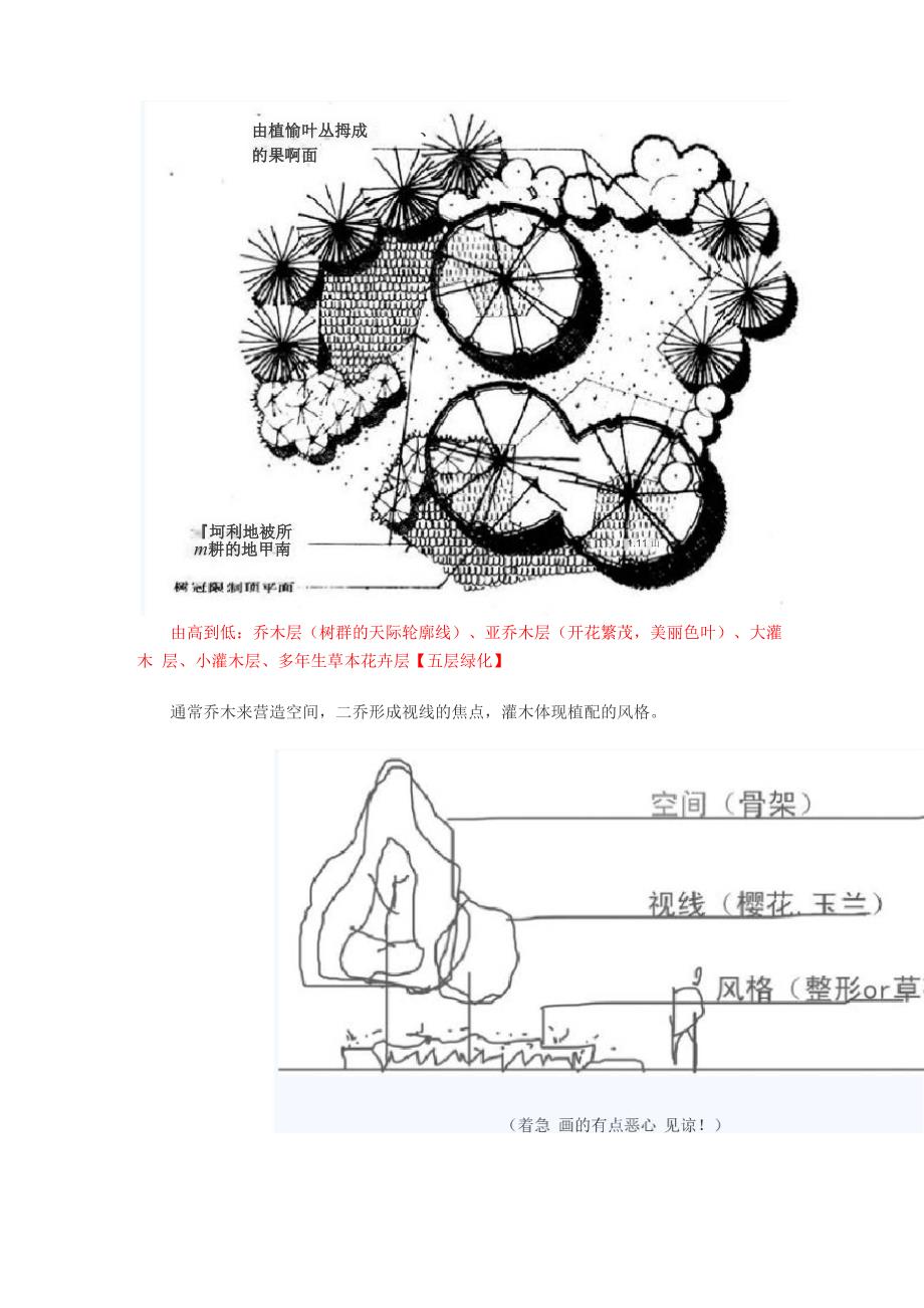 园林植物配置心得总结_第4页