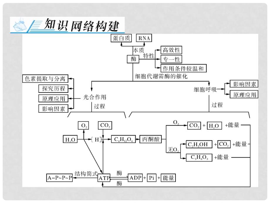 高考生物一轮总复习 第5章 细胞的能量供应和利用章末知识提升课件（必修1）_第2页