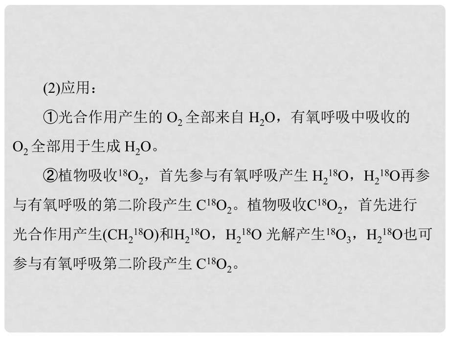 高考生物一轮总复习 第5章 细胞的能量供应和利用章末知识提升课件（必修1）_第4页